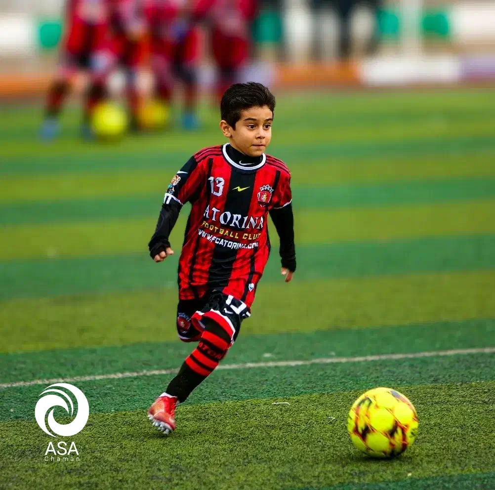 چمن مصنوعی ورزشی