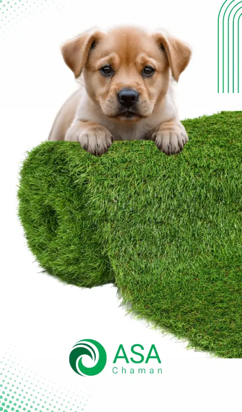  چمن مصنوعی دیجی کالا ارزان